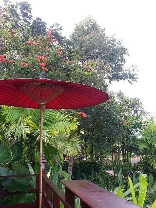 Puravida Pai Resort fotoÄŸrafÄ±