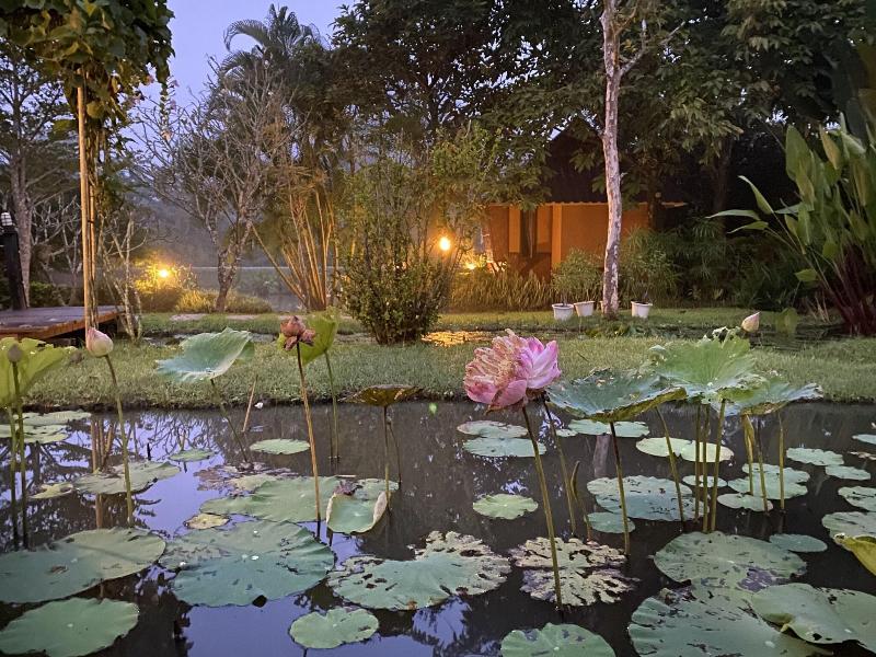 Puravida Pai Resort - Genel