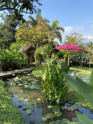 Puravida Pai Resort fotoÄŸrafÄ±
