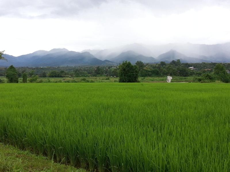 Puravida Pai Resort - Oda