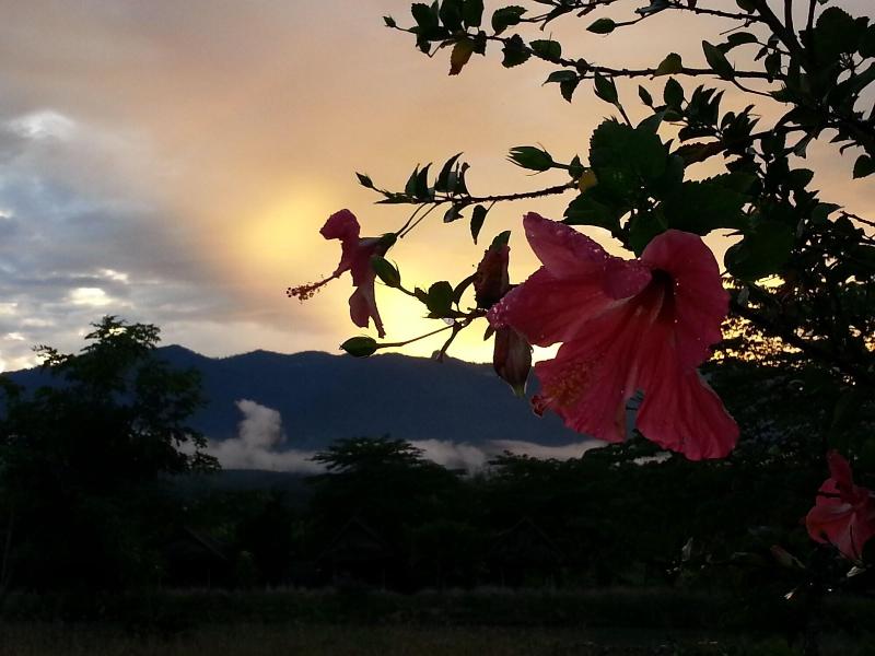Puravida Pai Resort - Oda