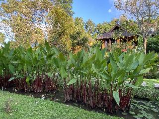 Puravida Pai Resort fotoÄŸrafÄ±