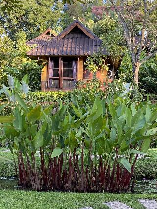 Puravida Pai Resort fotoÄŸrafÄ±