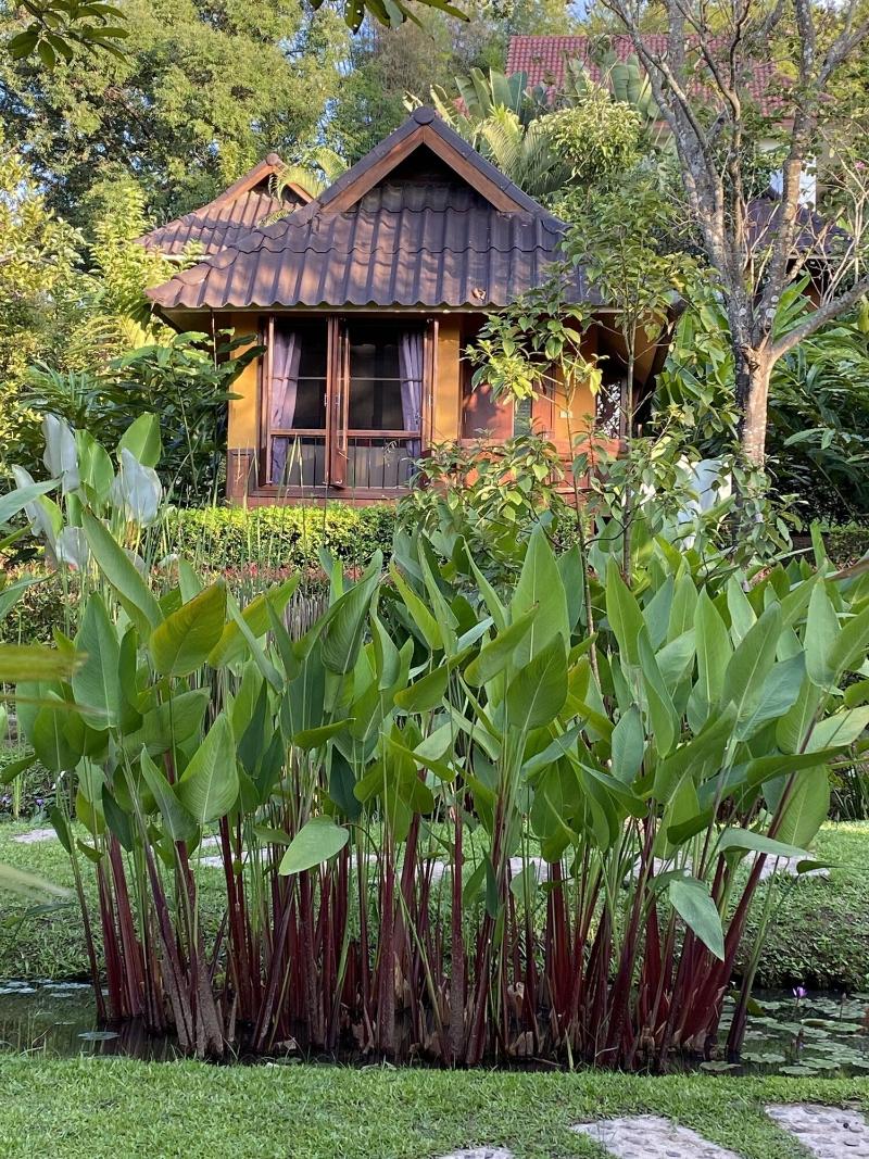 Puravida Pai Resort - Teras