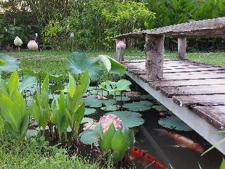 Puravida Pai Resort fotoÄŸrafÄ±