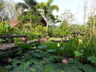 Puravida Pai Resort fotoÄŸrafÄ±