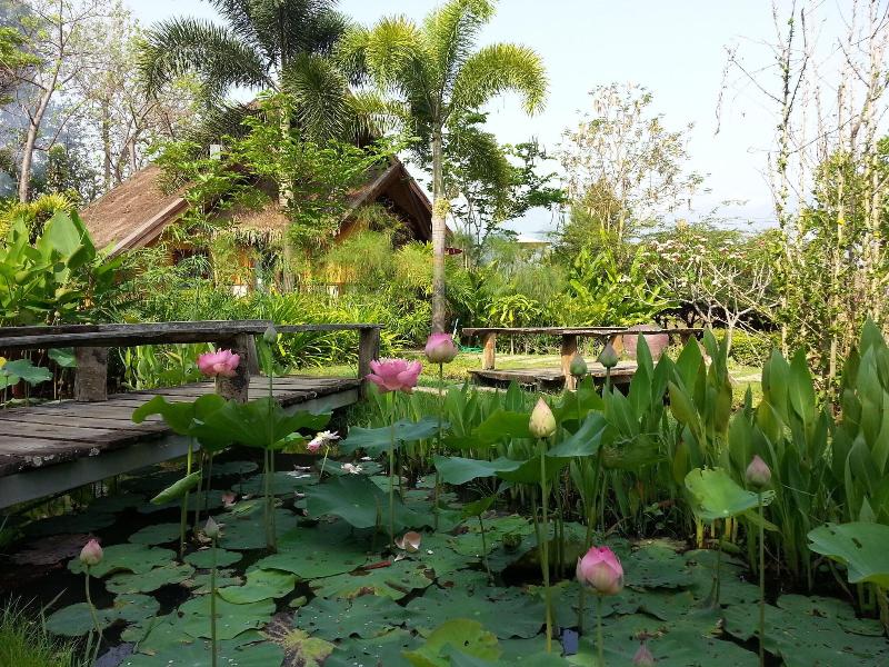 Puravida Pai Resort - Teras
