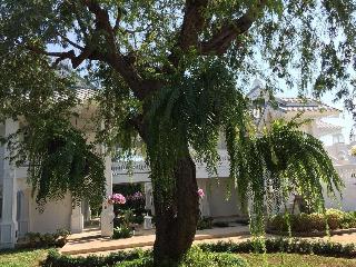Nirvanan House fotoÄŸrafÄ±
