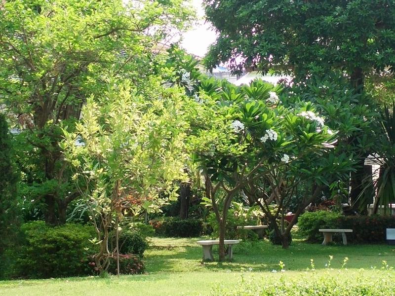 Swankaburi Boutique Hotel - Genel