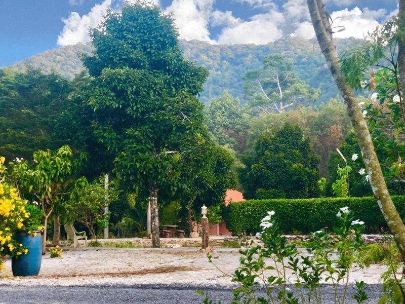 At Sichon Resort - Genel