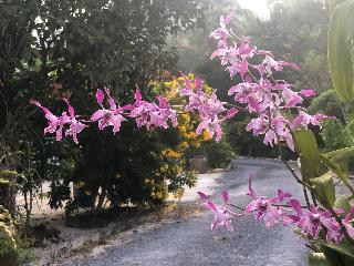 At Sichon Resort fotoÄŸrafÄ±