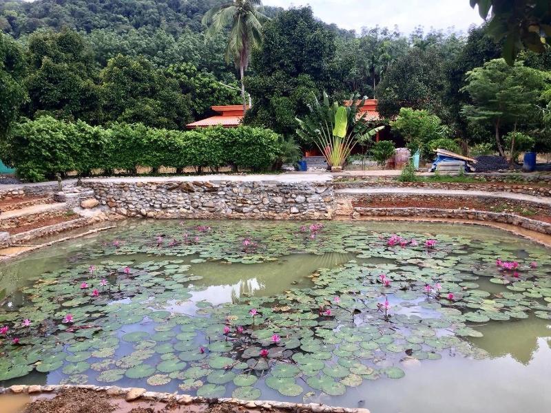 At Sichon Resort - Genel
