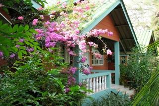 Mairood Resort fotoÄŸrafÄ±