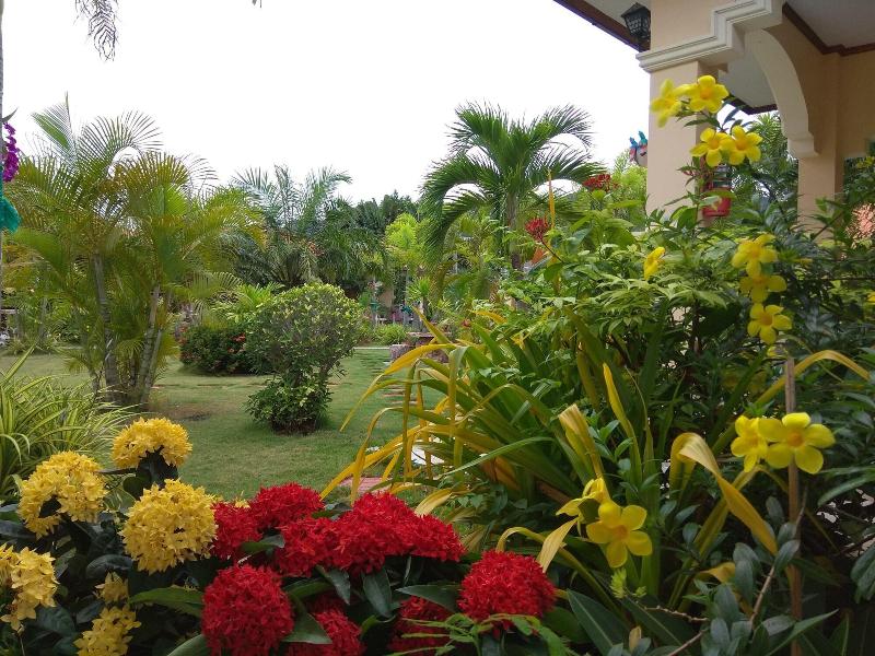 Stella Resort - Genel