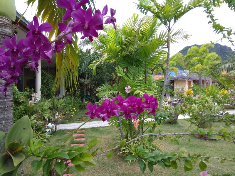Stella Resort - Genel