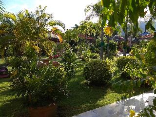 Stella Resort fotoÄŸrafÄ±