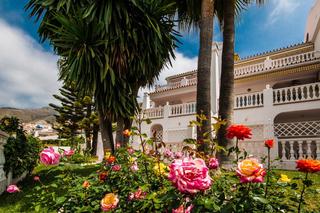 Las Rosas de Capistrano fotoÄŸrafÄ±