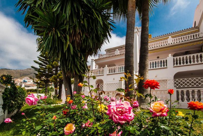 Las Rosas de Capistrano - Genel