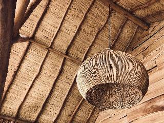 The Korowai fotoÄŸrafÄ±