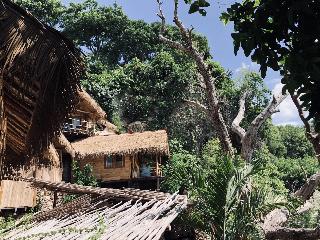The Korowai fotoÄŸrafÄ±