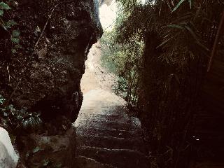 The Korowai fotoÄŸrafÄ±