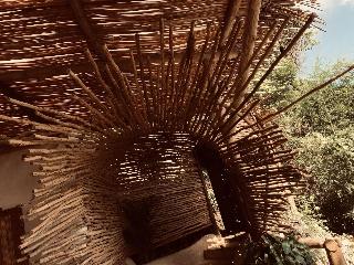 The Korowai fotoÄŸrafÄ±