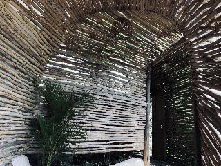The Korowai fotoÄŸrafÄ±