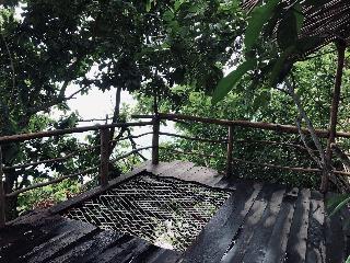 The Korowai fotoÄŸrafÄ±