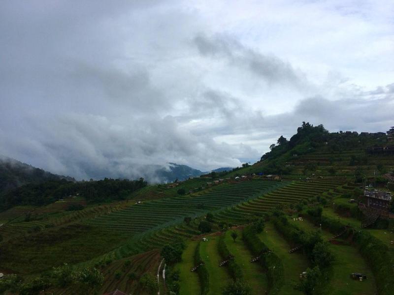 Mon Ing Dao - Genel
