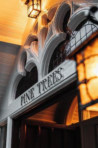 Pine Trees Hotel fotoÄŸrafÄ±