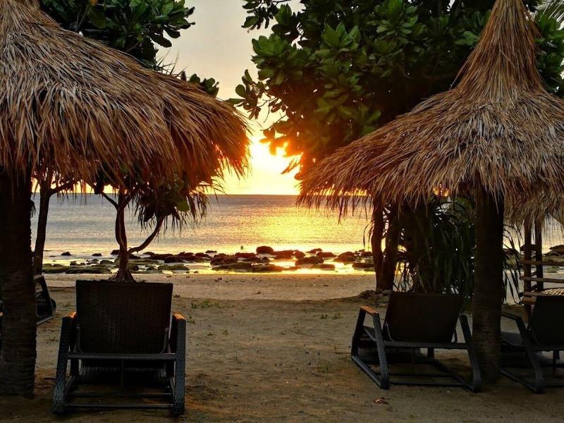 The Lazy Lodge - Teras