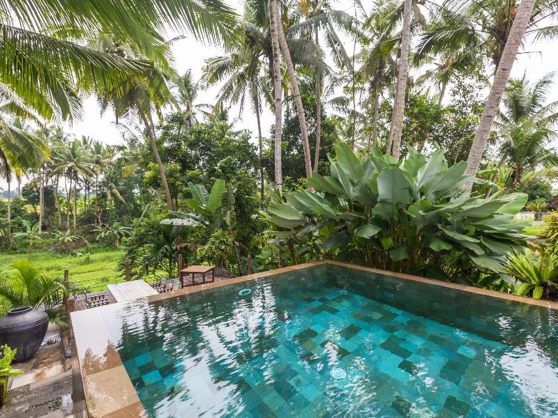 Swarapadi Villa - Havuz
