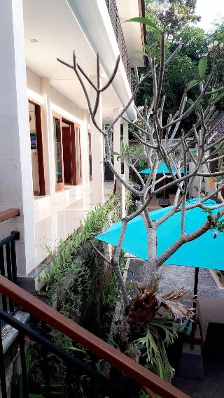 Ayu Duwur Beji fotoÄŸrafÄ±