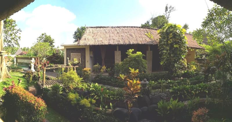 Liyer House - Aktivite