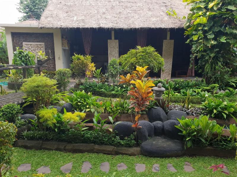 Liyer House - Genel