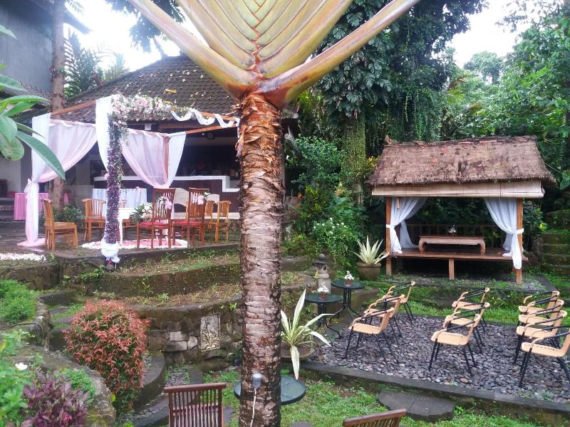 Liyer House - Genel