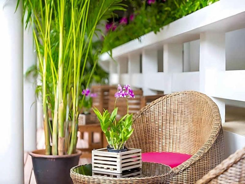 Colorize Boutique Hotel - Genel