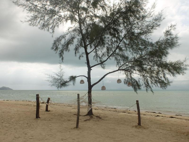 Seaesta Beach - Plaj