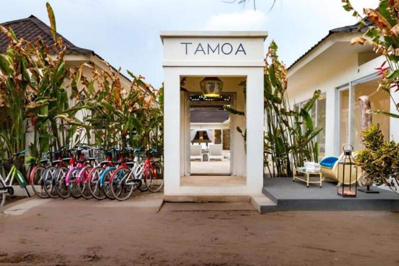Tamoa Boutique Hotel - Aktivite
