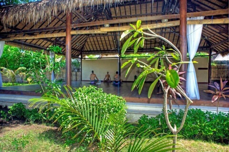 The Yoga Garden - Aktivite