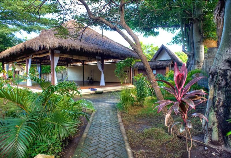The Yoga Garden - Aktivite