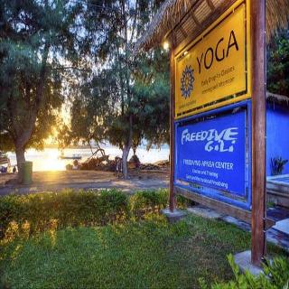 The Yoga Garden fotoÄŸrafÄ±