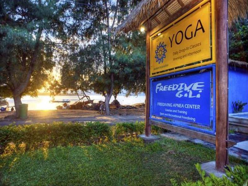 The Yoga Garden - Genel