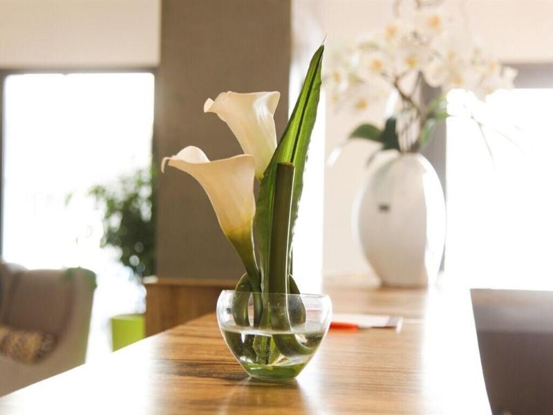 Smarts Hotel - Bar