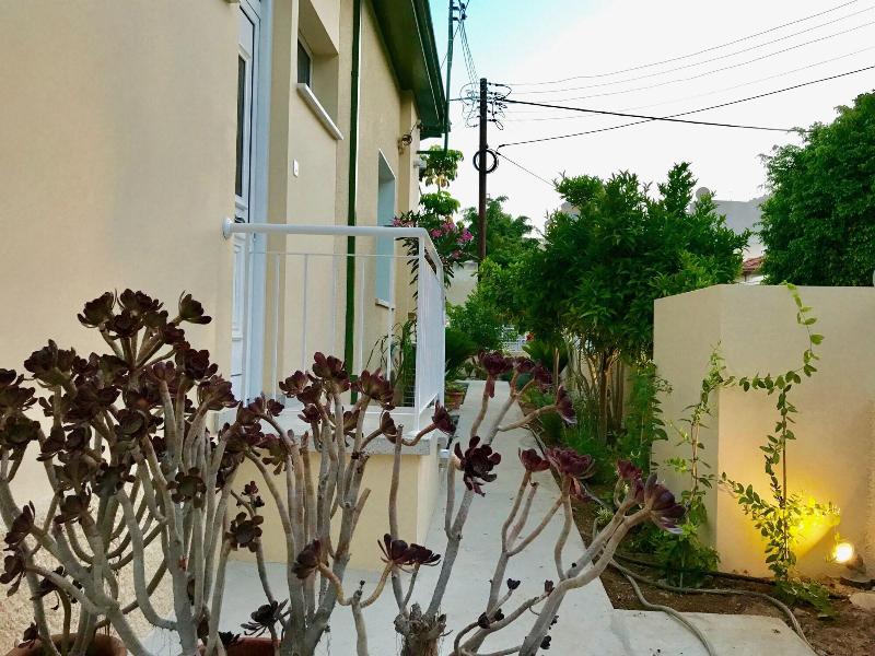 Avgi's Home - Genel