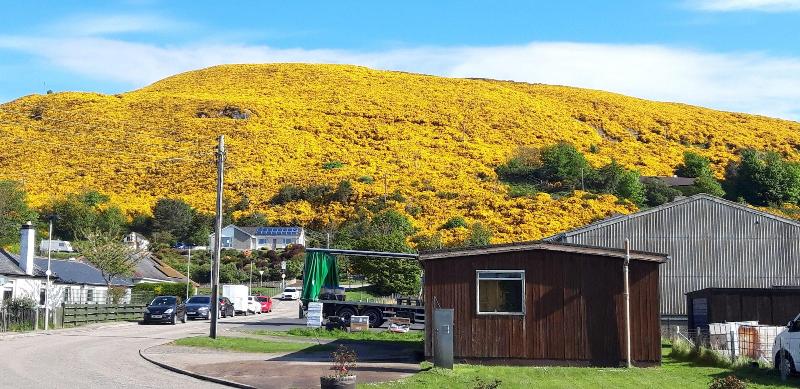 Bannockburn Inn - Genel