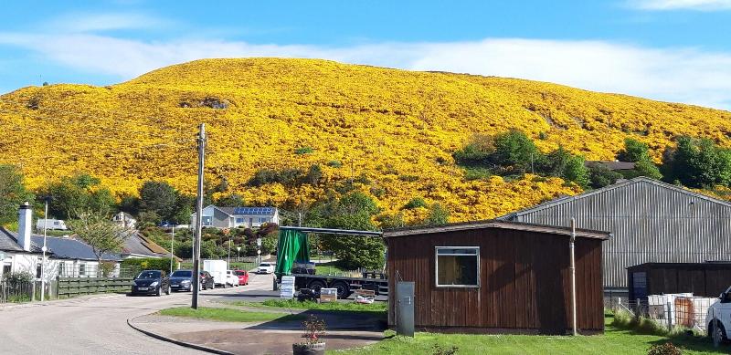 Bannockburn Inn - Genel
