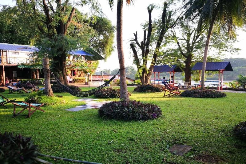 Smiley Frog - Genel