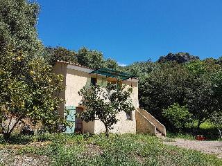 A Casa Di L'Alivu
