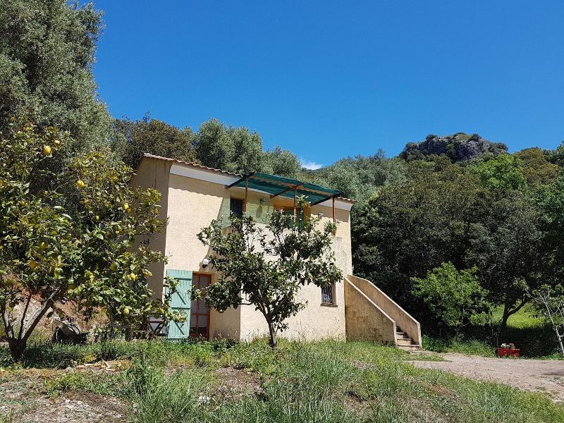 A Casa Di L'Alivu - Genel